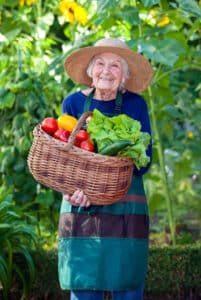 Home Care Burnsville, MN: Seniors and Gardening Safety